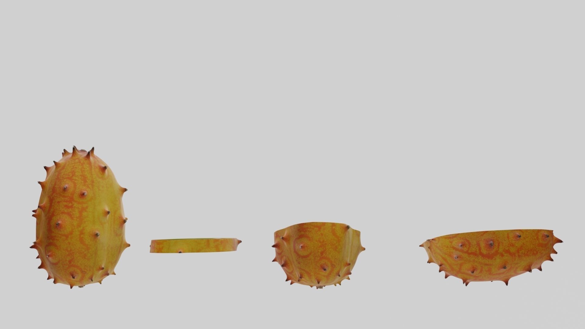 Kiwano cactus 3D model_36