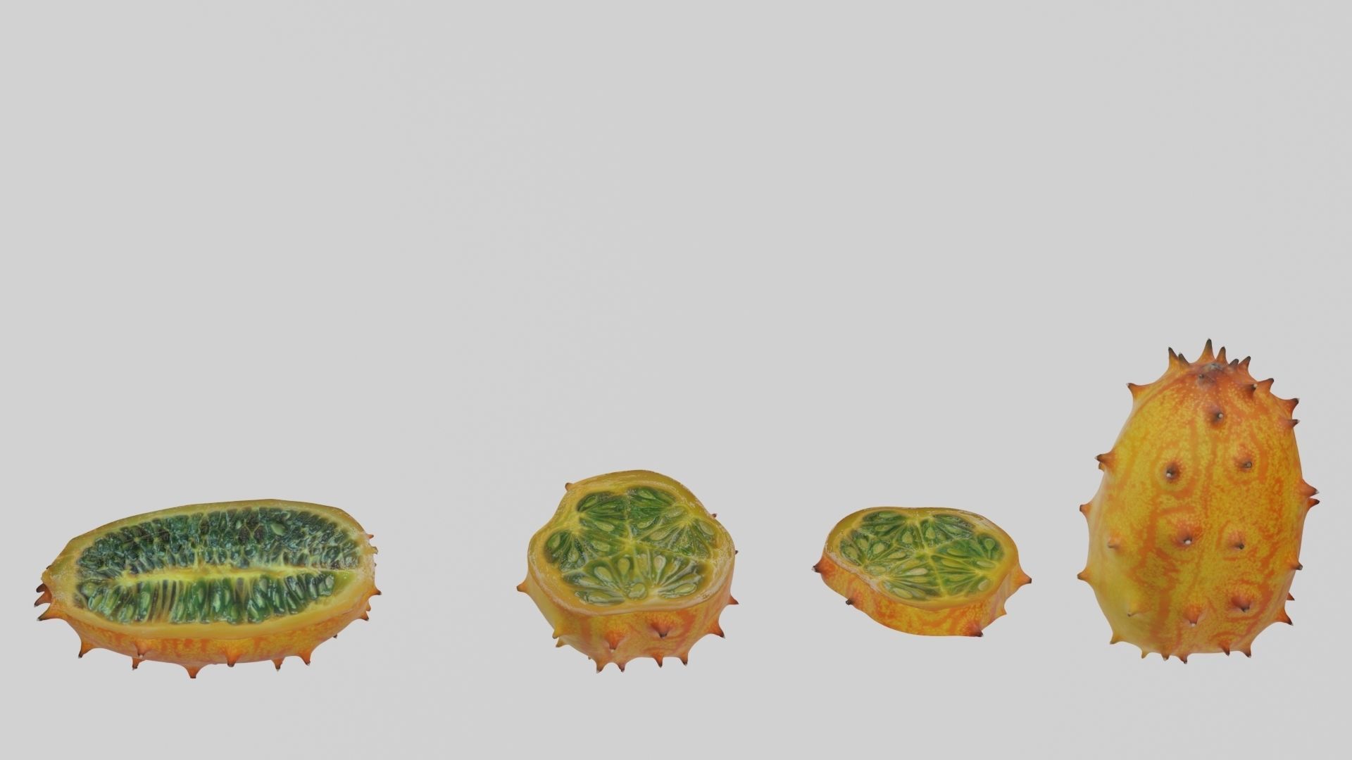 Kiwano cactus 3D model_1