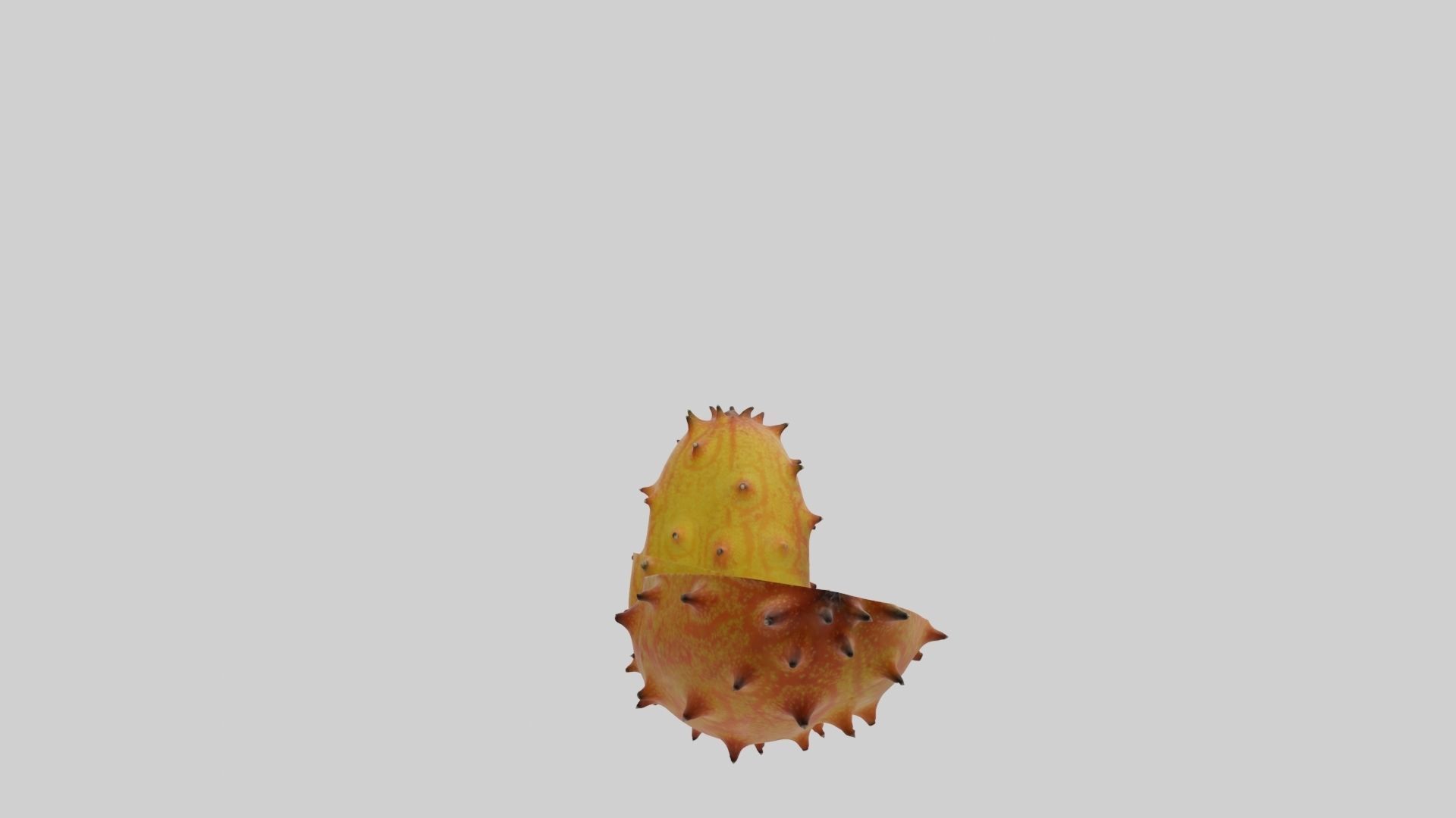 Kiwano cactus 3D model_42