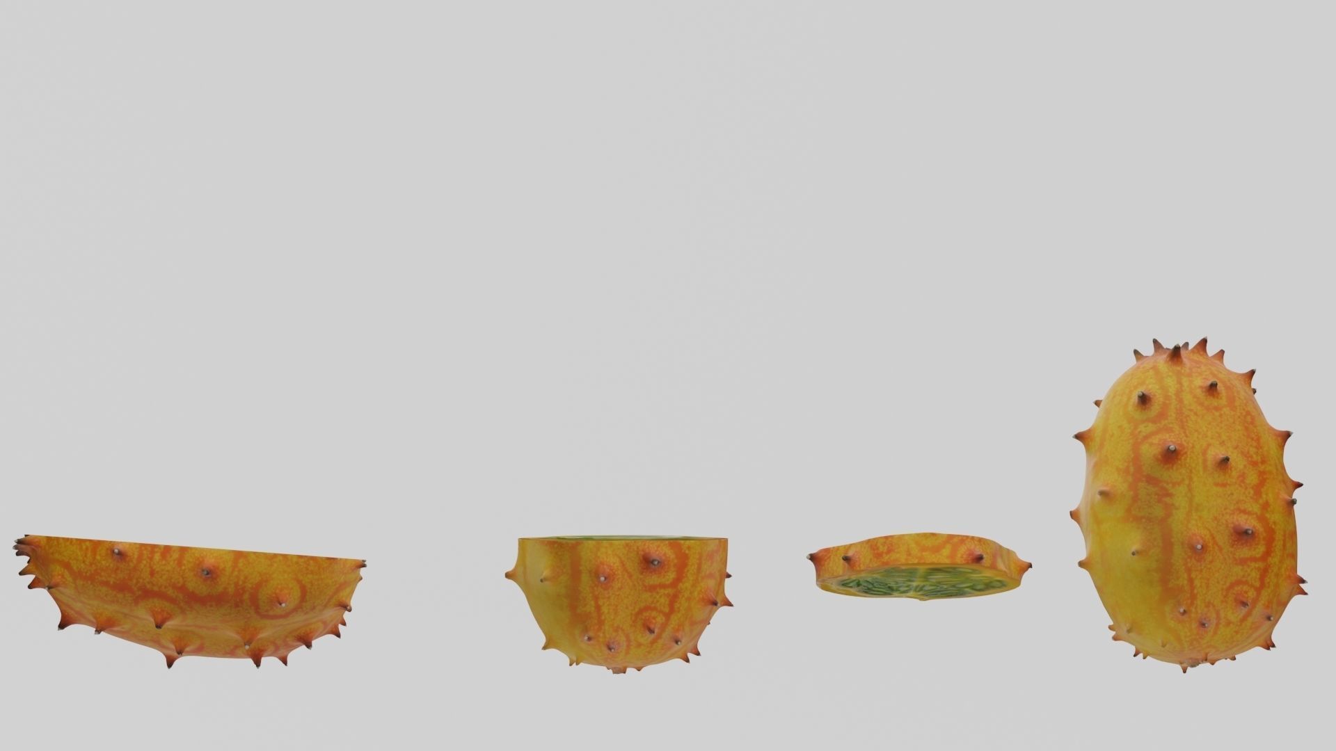 Kiwano cactus 3D model_22