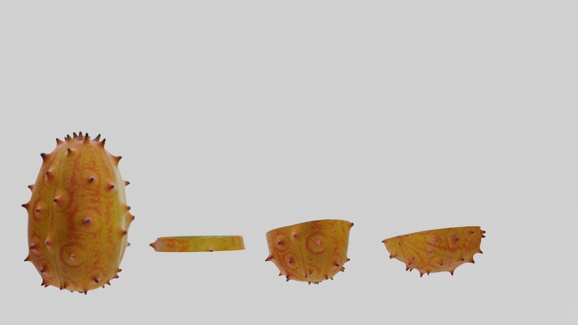 Kiwano cactus 3D model_34