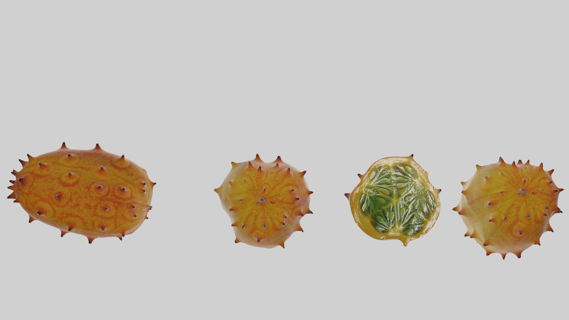 Kiwano cactus 3D model_16