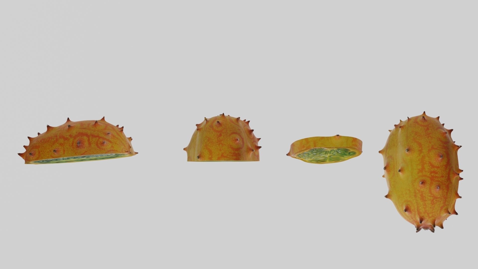 Kiwano cactus 3D model_10