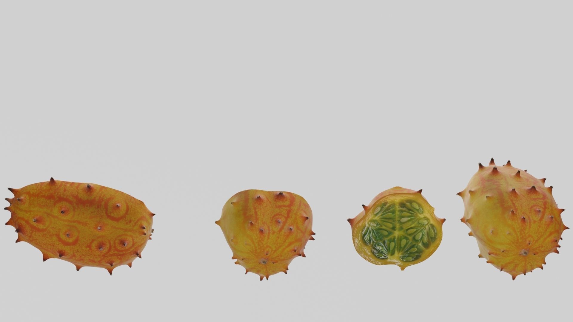 Kiwano cactus 3D model_19