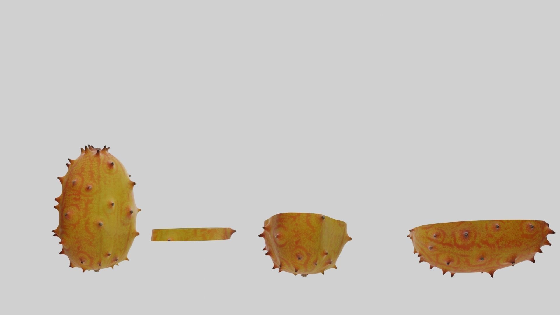 Kiwano cactus 3D model_37