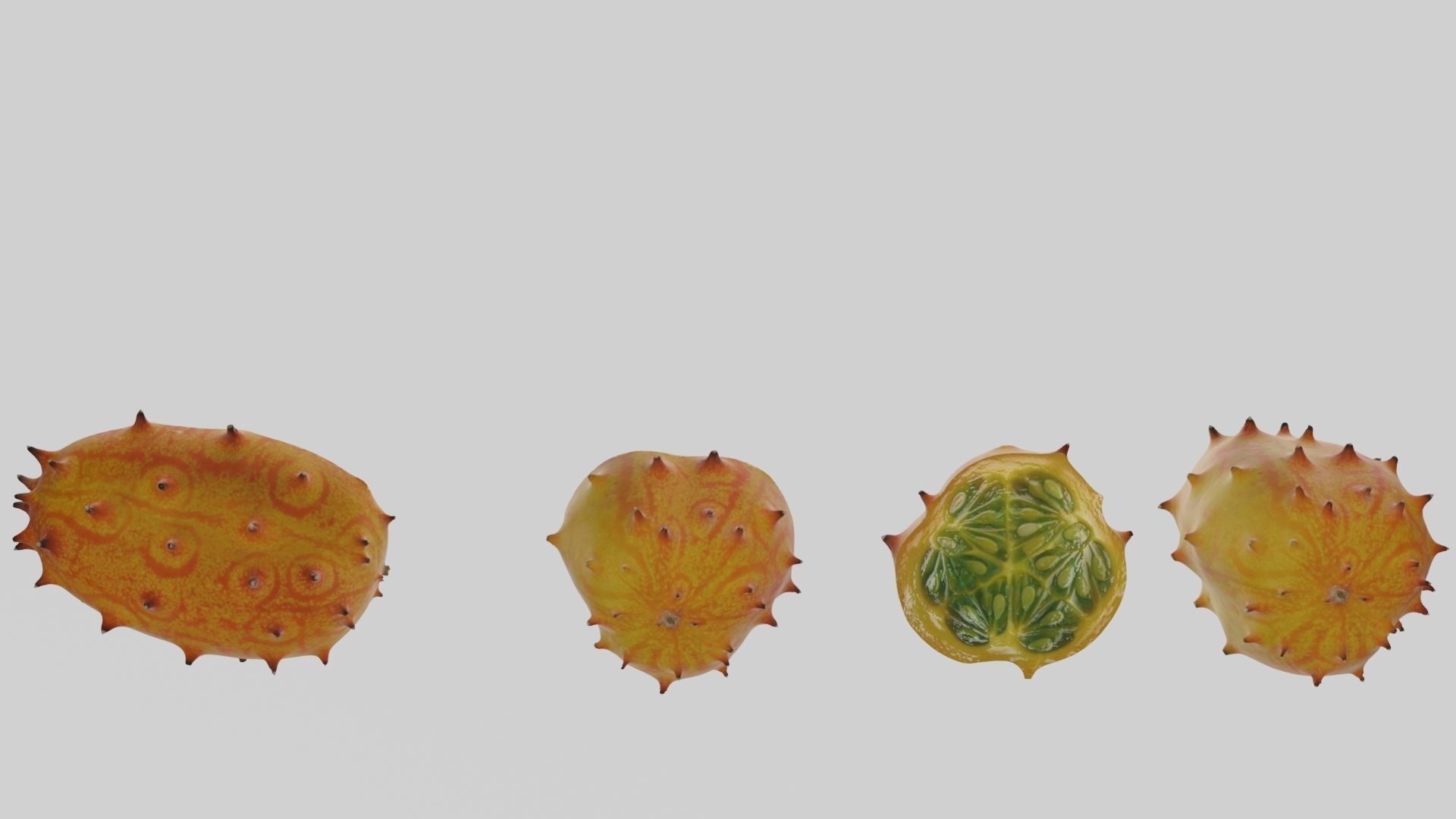 Kiwano cactus 3D model_18
