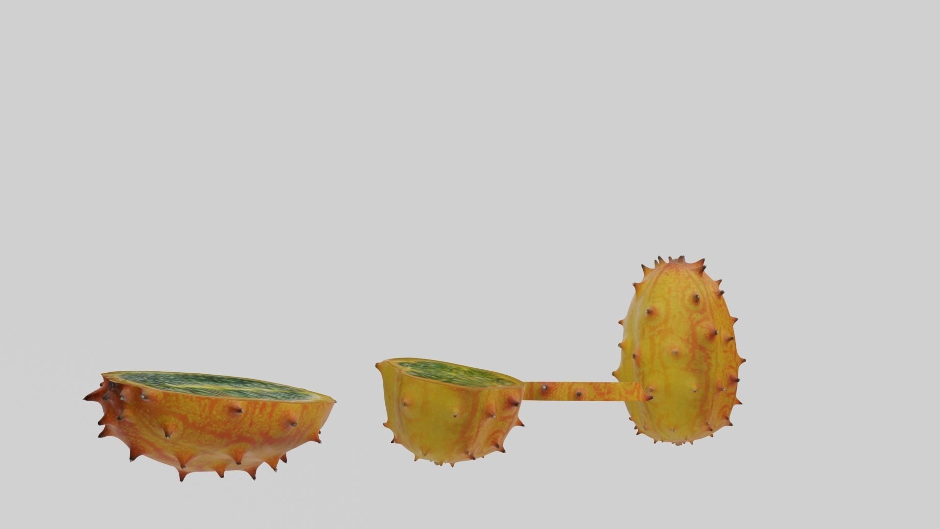 Kiwano cactus 3D model_45