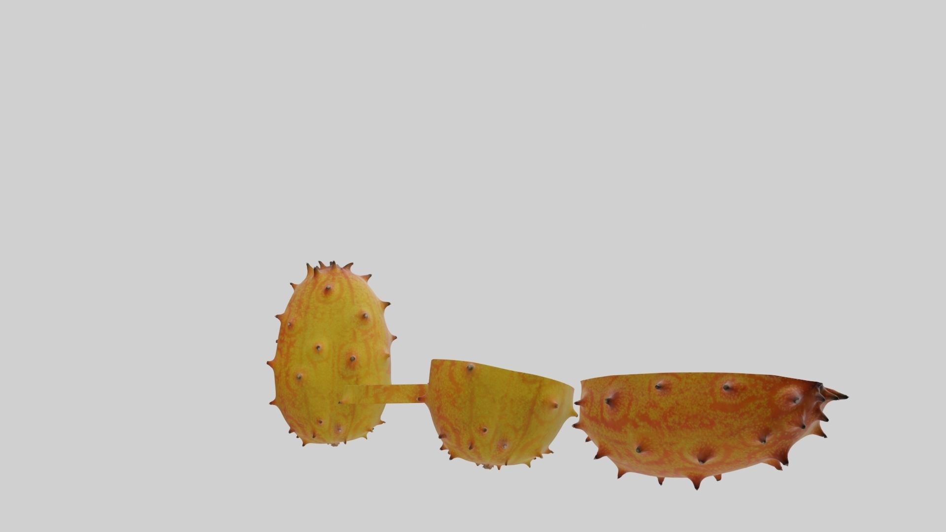 Kiwano cactus 3D model_40