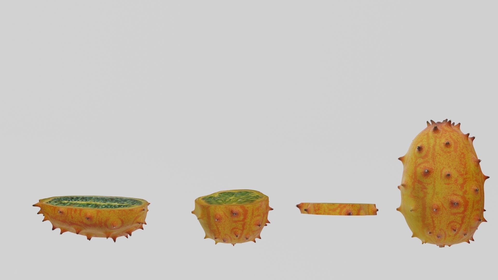 Kiwano cactus 3D model_25