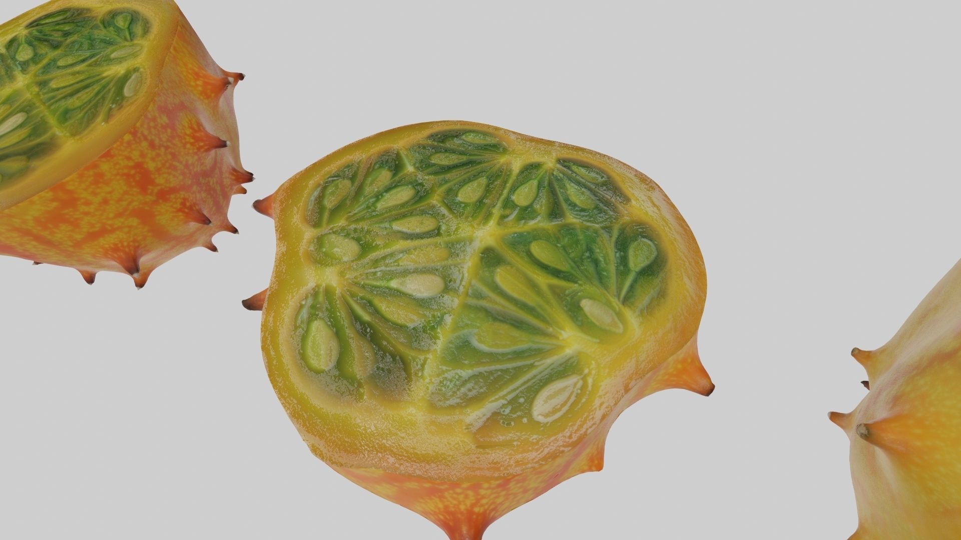 Kiwano cactus 3D model_51
