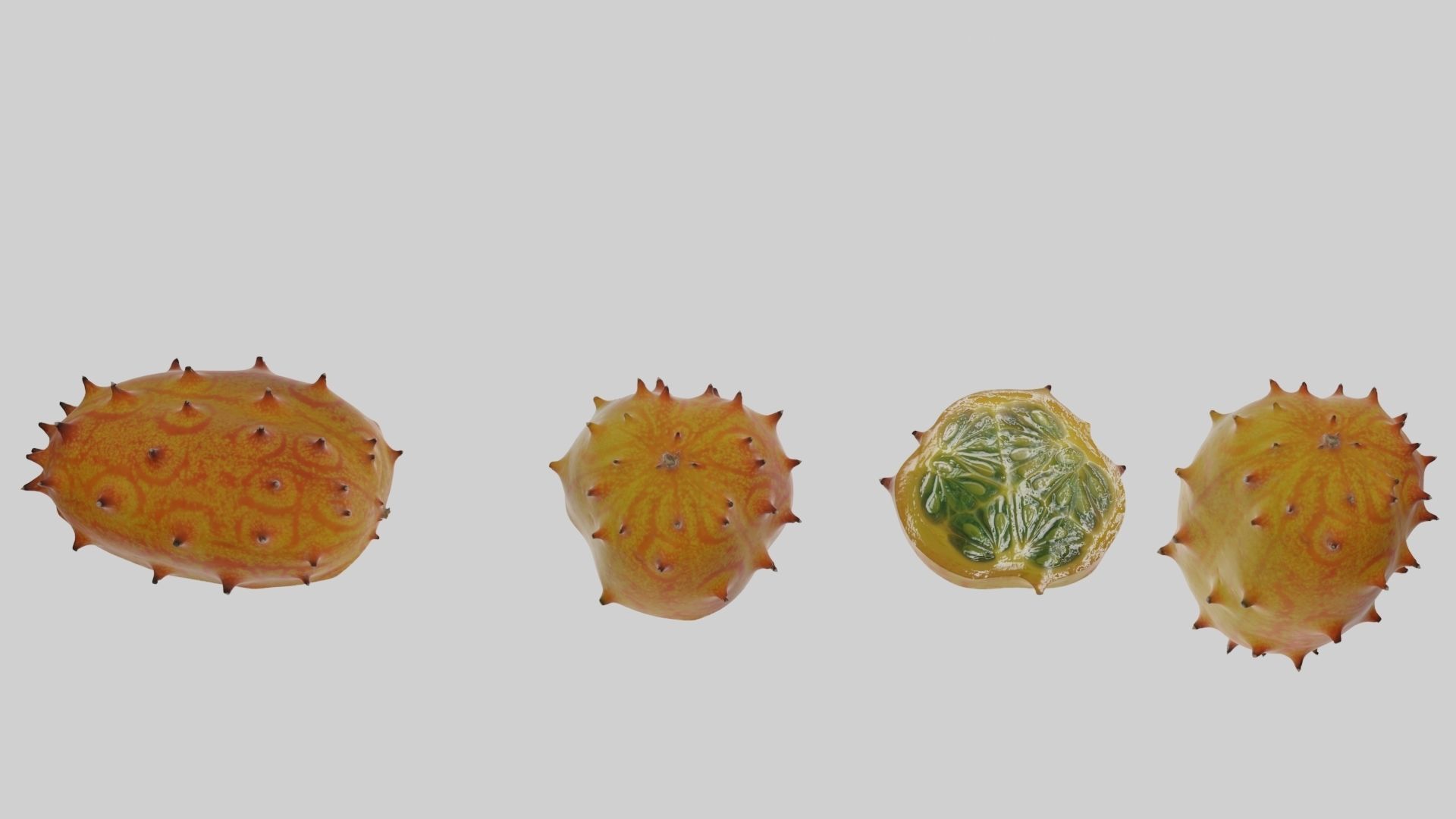 Kiwano cactus 3D model_15
