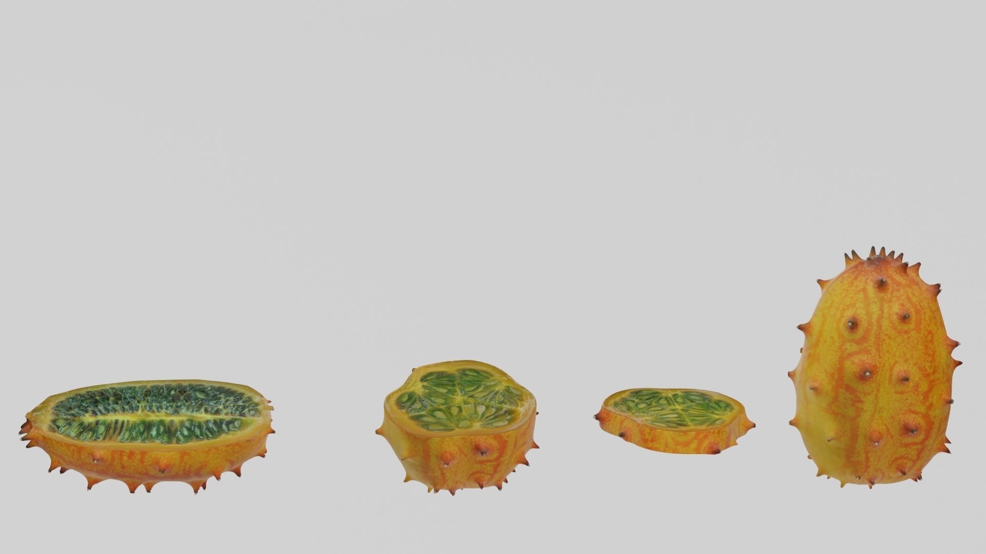 Kiwano cactus 3D model_24