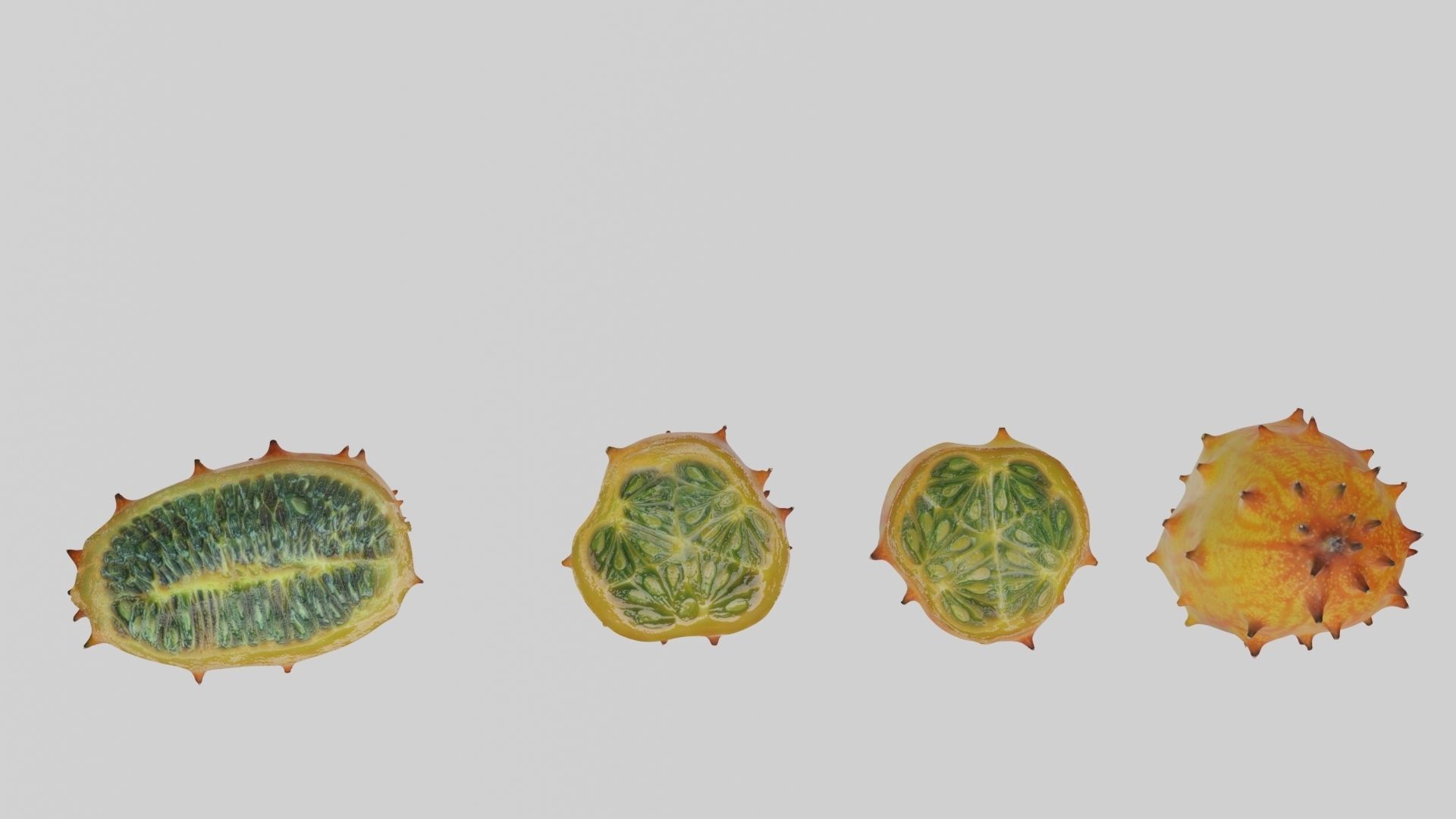 Kiwano cactus 3D model_5