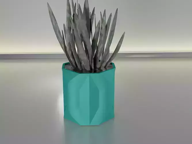 Succulent Plant Pot 18