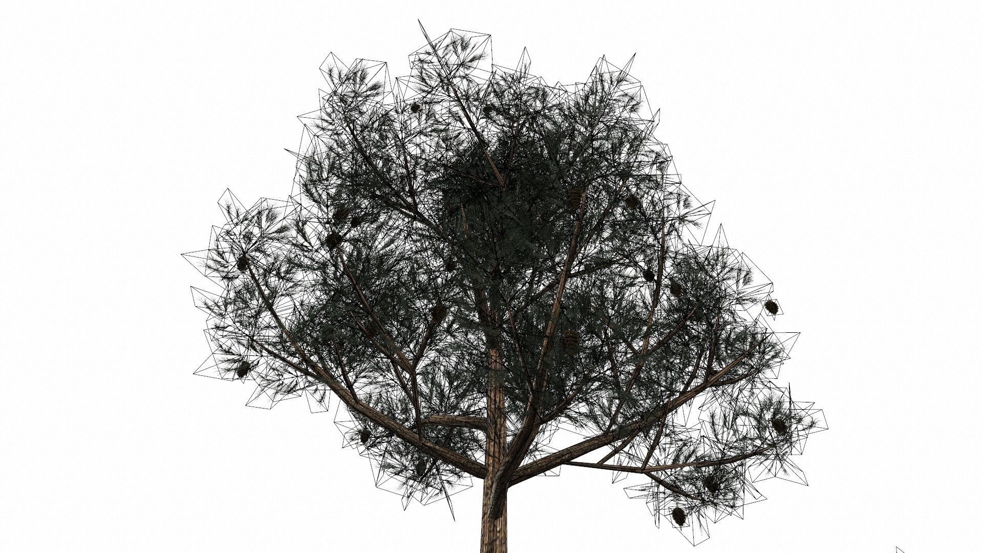 Pine Trees  Low-poly 3D model_40