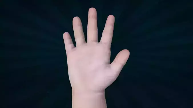 HAND-025 Rigged Baby Hand 3D model