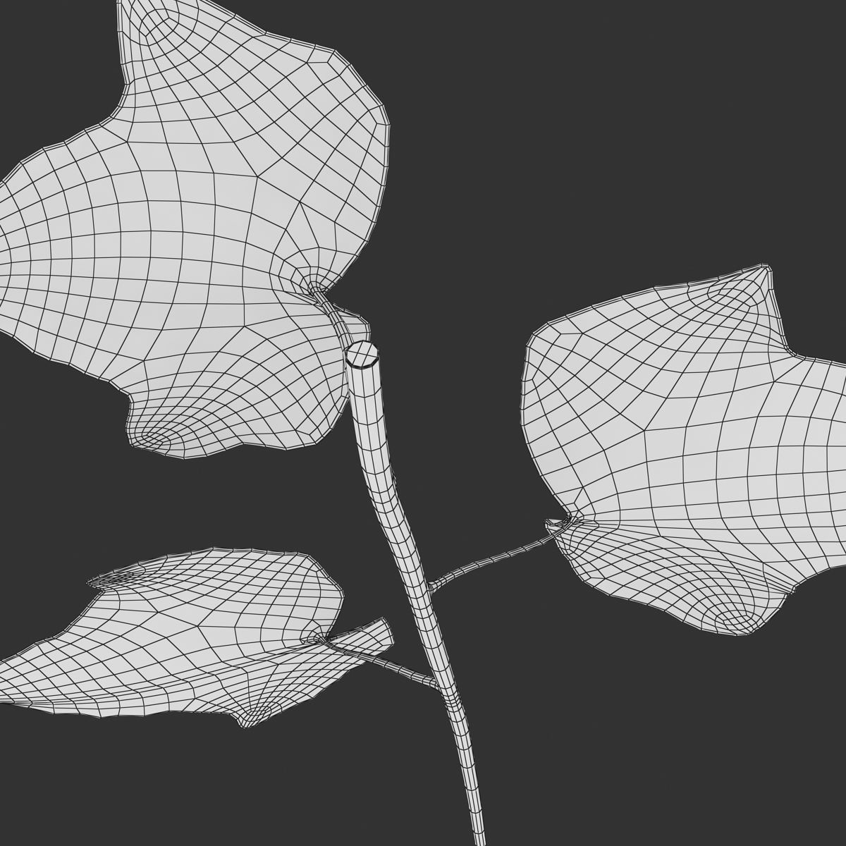 Ivy Leaf Low-poly 3D model_13