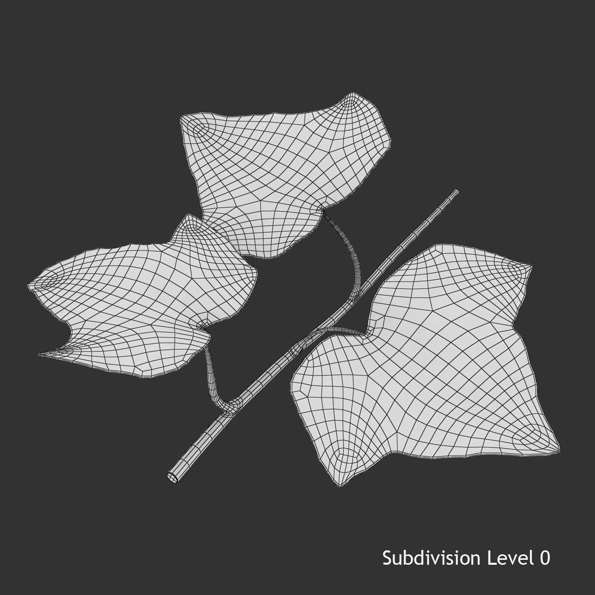 Ivy Leaf Low-poly 3D model_9