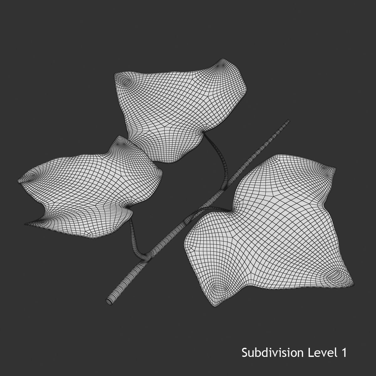 Ivy Leaf Low-poly 3D model_10