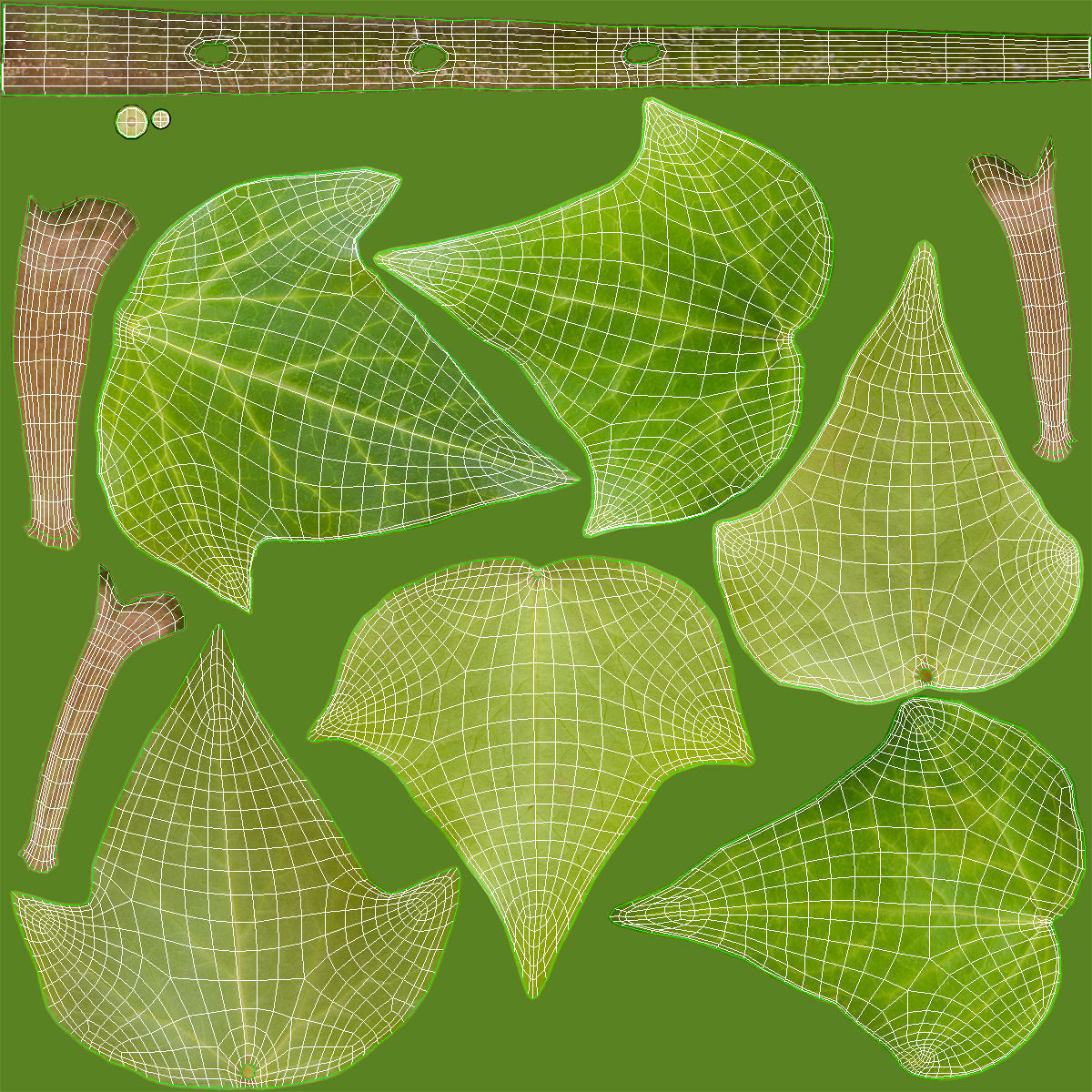Ivy Leaf Low-poly 3D model_16