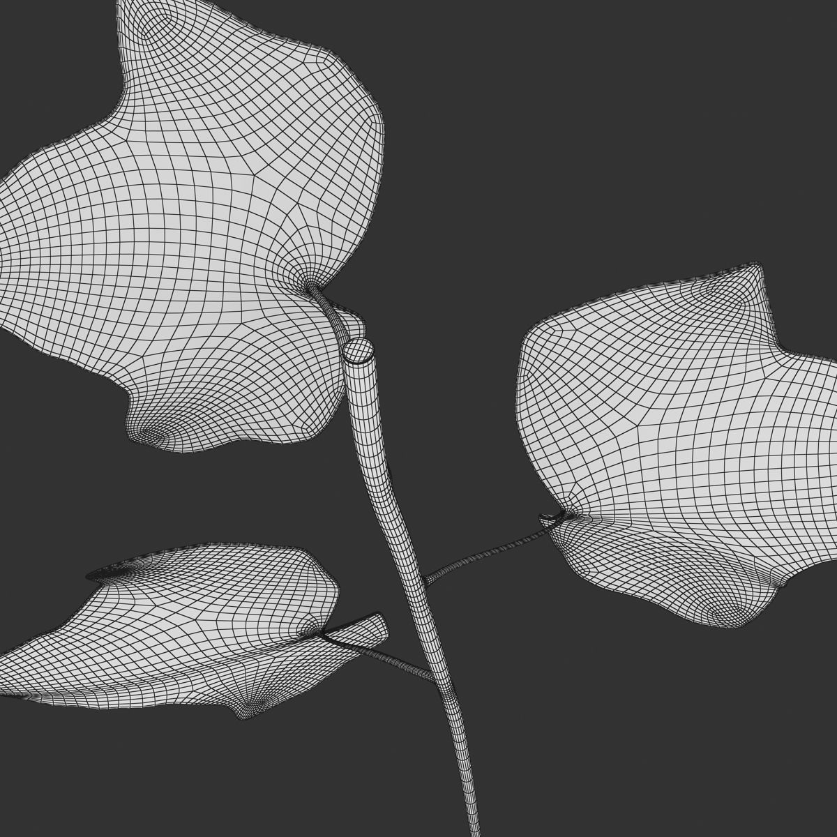 Ivy Leaf Low-poly 3D model_14