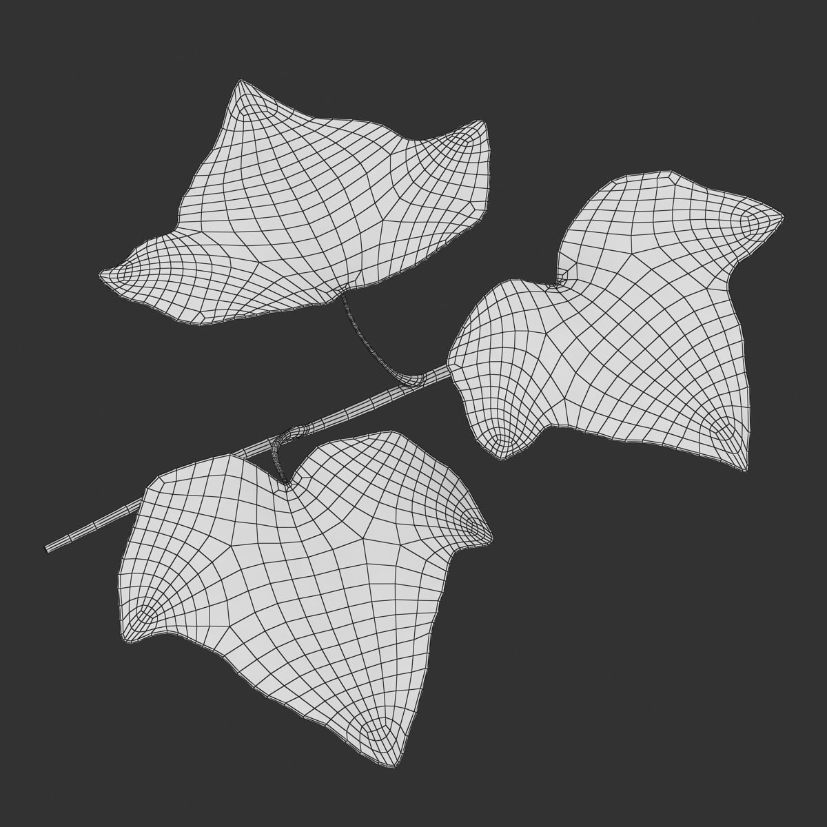 Ivy Leaf Low-poly 3D model_11