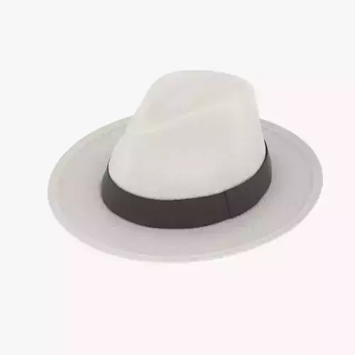 Panama Hat Low-poly 3D model