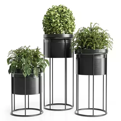 Indoor plant-plant stand 01
