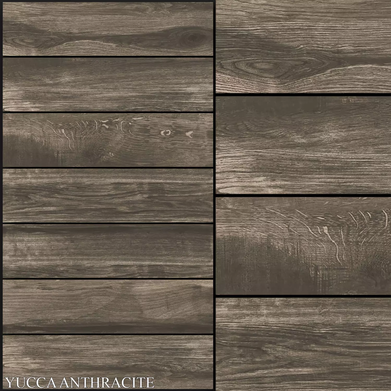 Fiore Yucca Anthracite 3D model