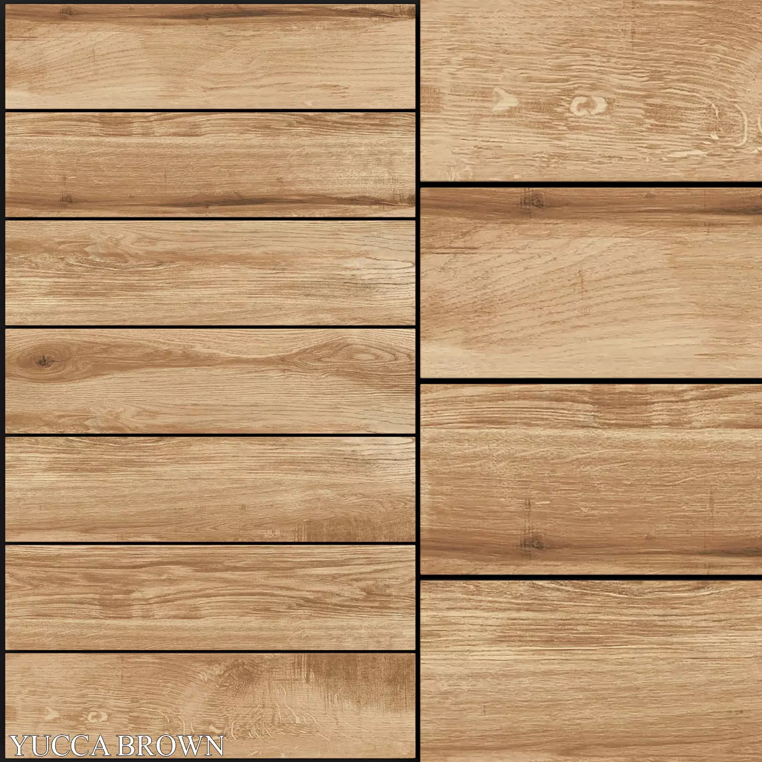 Fiore Yucca Brown 3D model_0