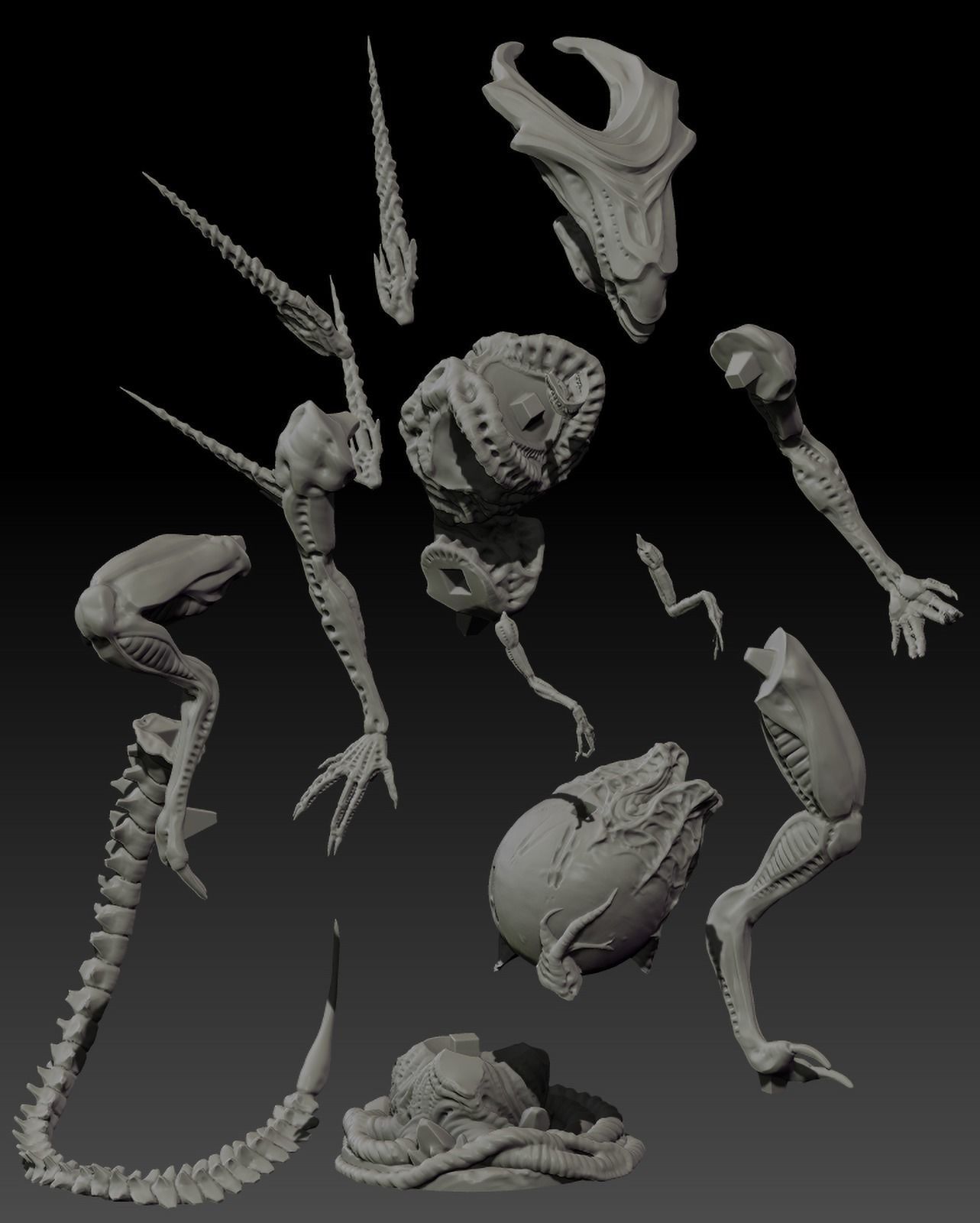 The Juvenile Queen 3D print model_1