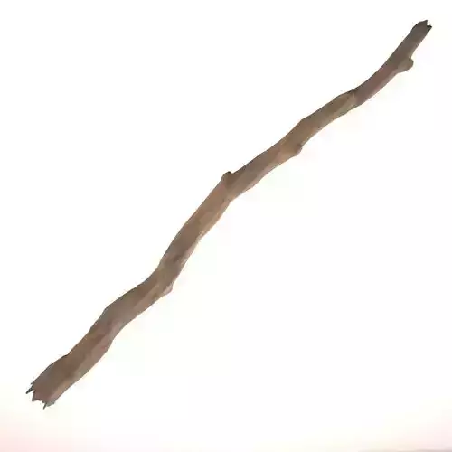 Wooden Stick 3D model