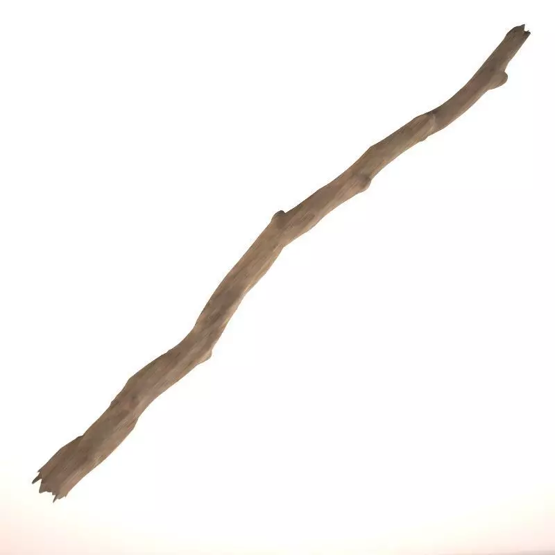 Wooden Stick 3D model_0