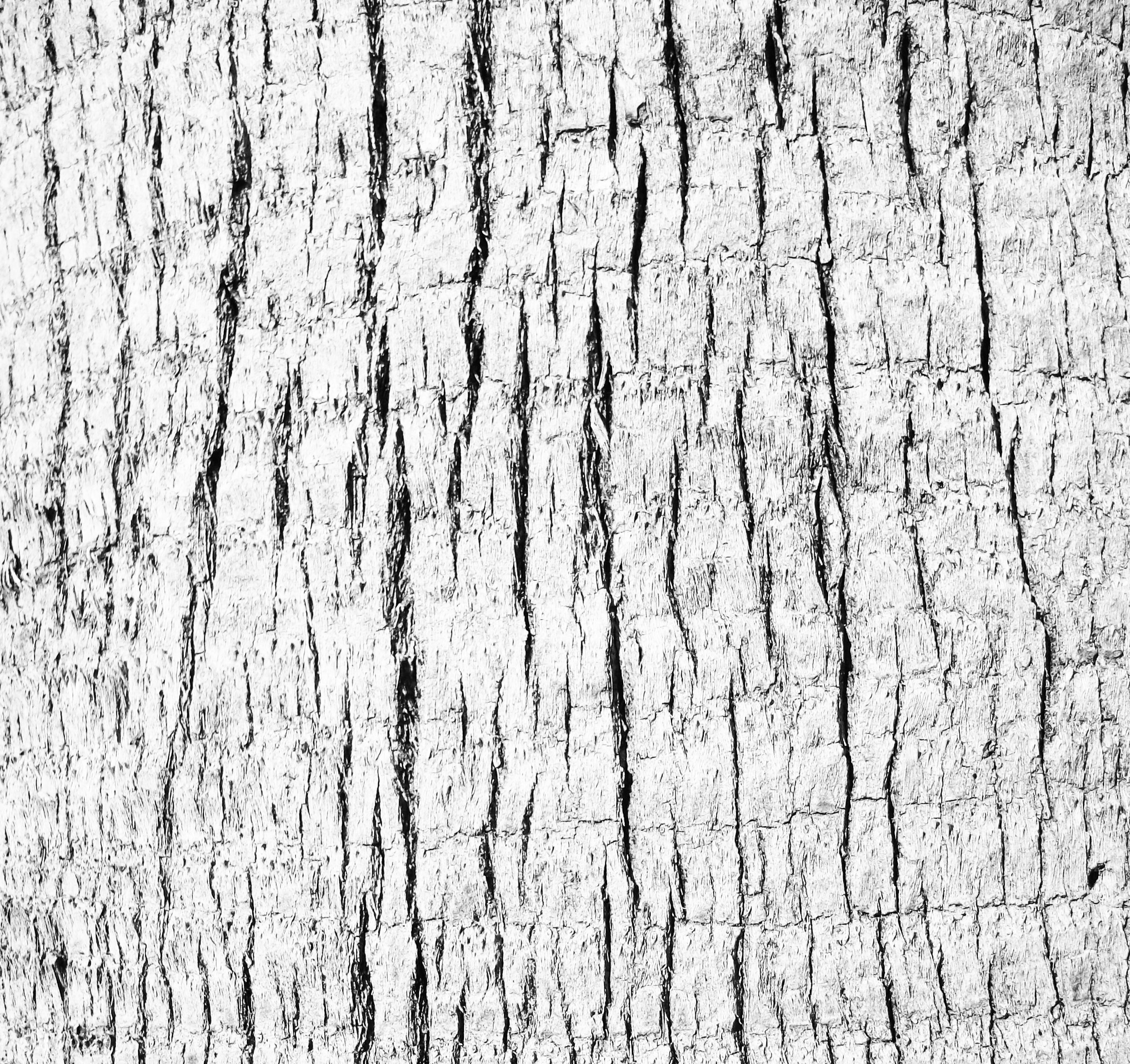 Wooden Stick 3D model_5