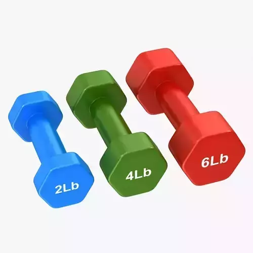 Dumbbell Set three dumbbells with different weights