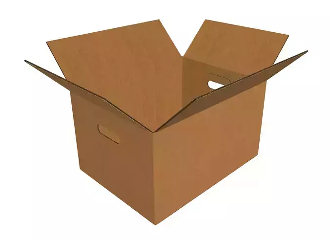 Corrugated Box
