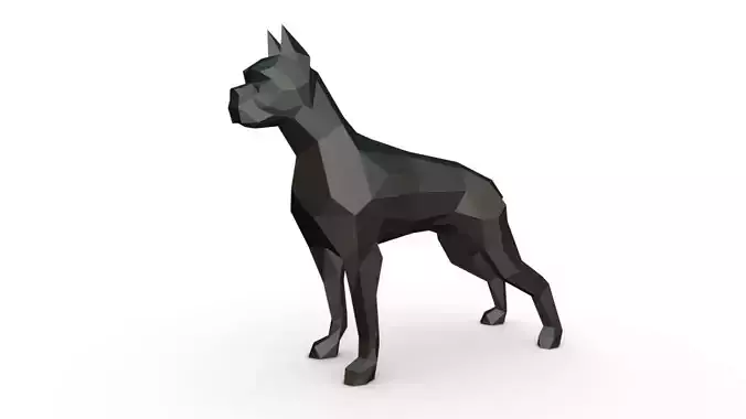 boxer dog low poly