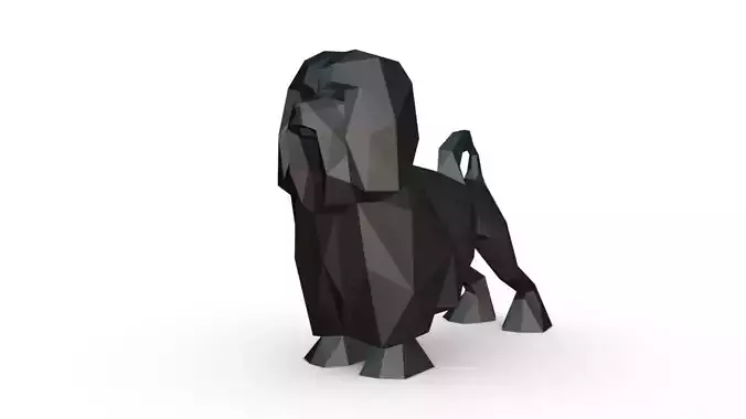lion bichon low poly