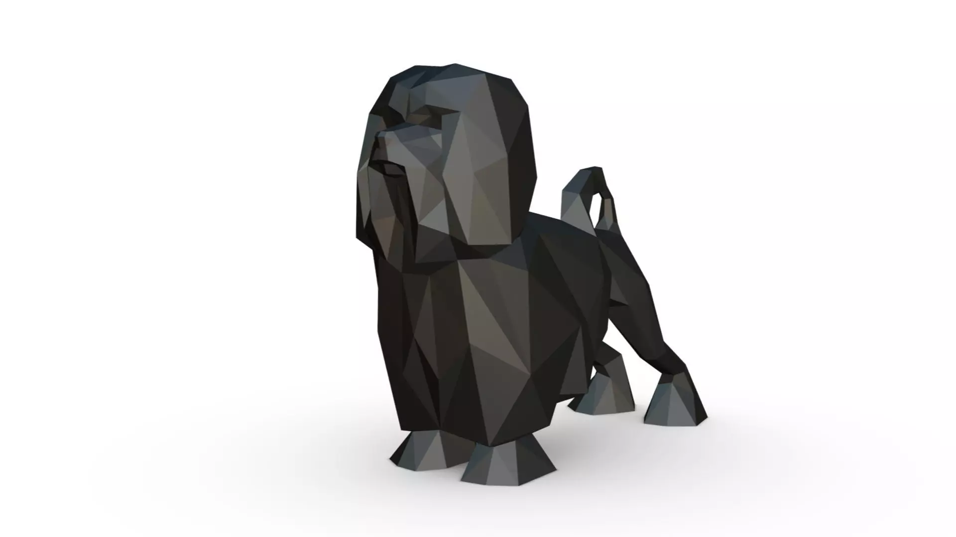 lion bichon low poly 3D print model_0