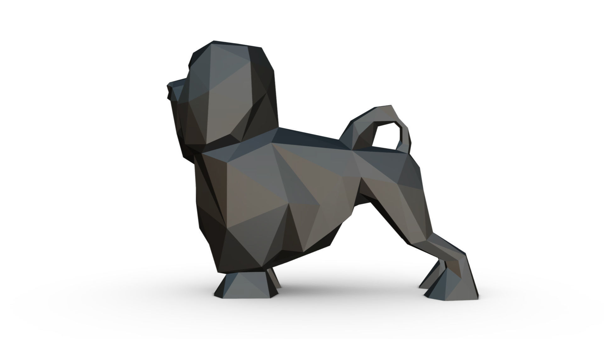 lion bichon low poly 3D print model_1
