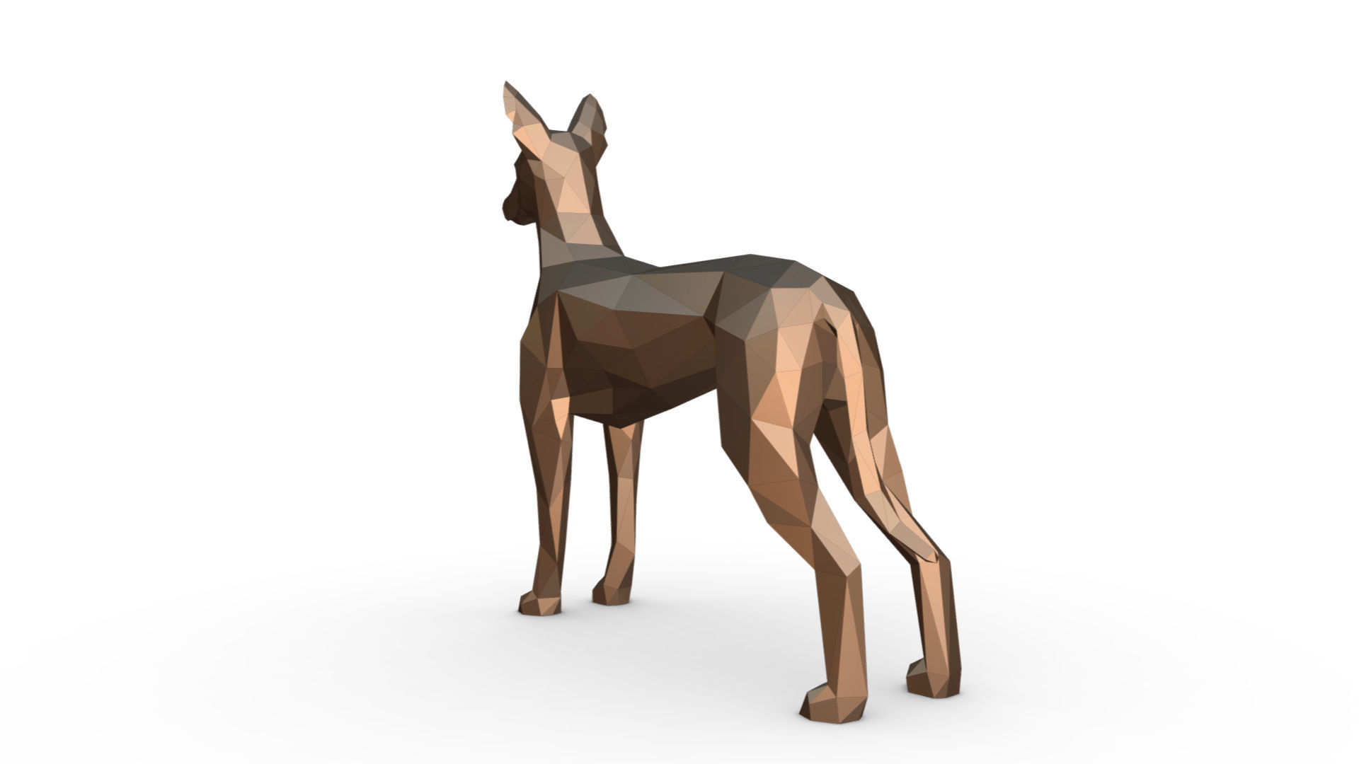 pharaoh hound low poly 3D print model_2