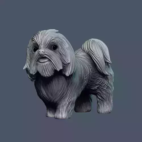 Shih Tzu