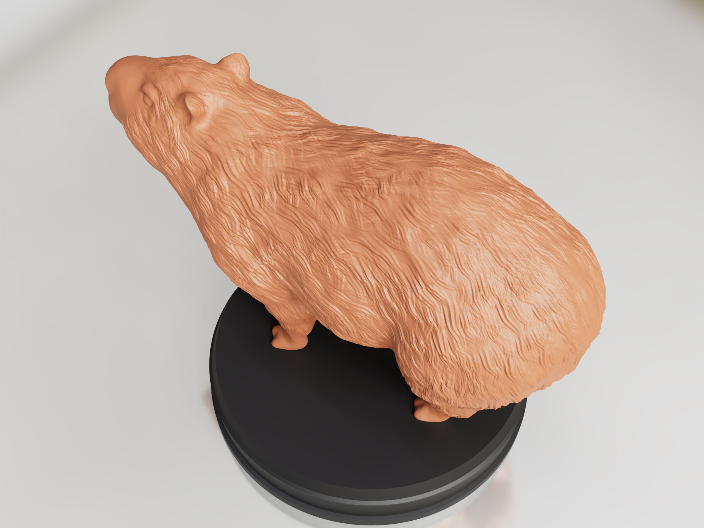 Realistic Furry Capybara 3D print model_4