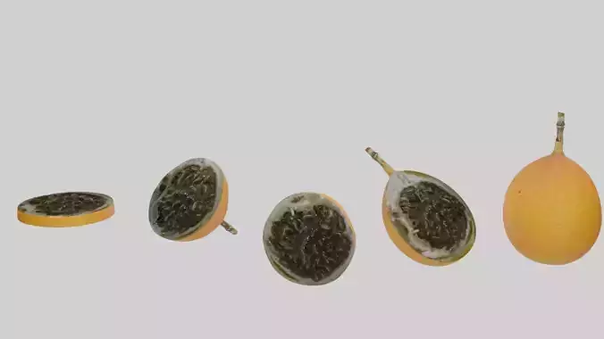 Granadilla fruit on stick 3D model