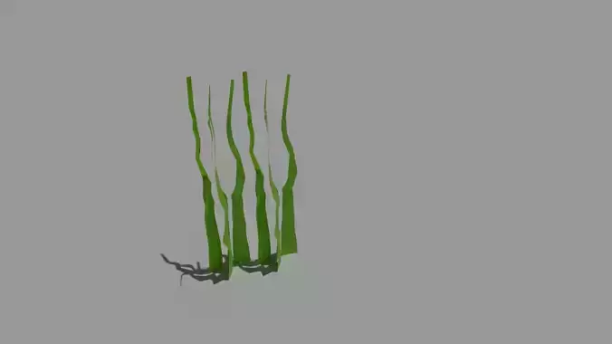grass