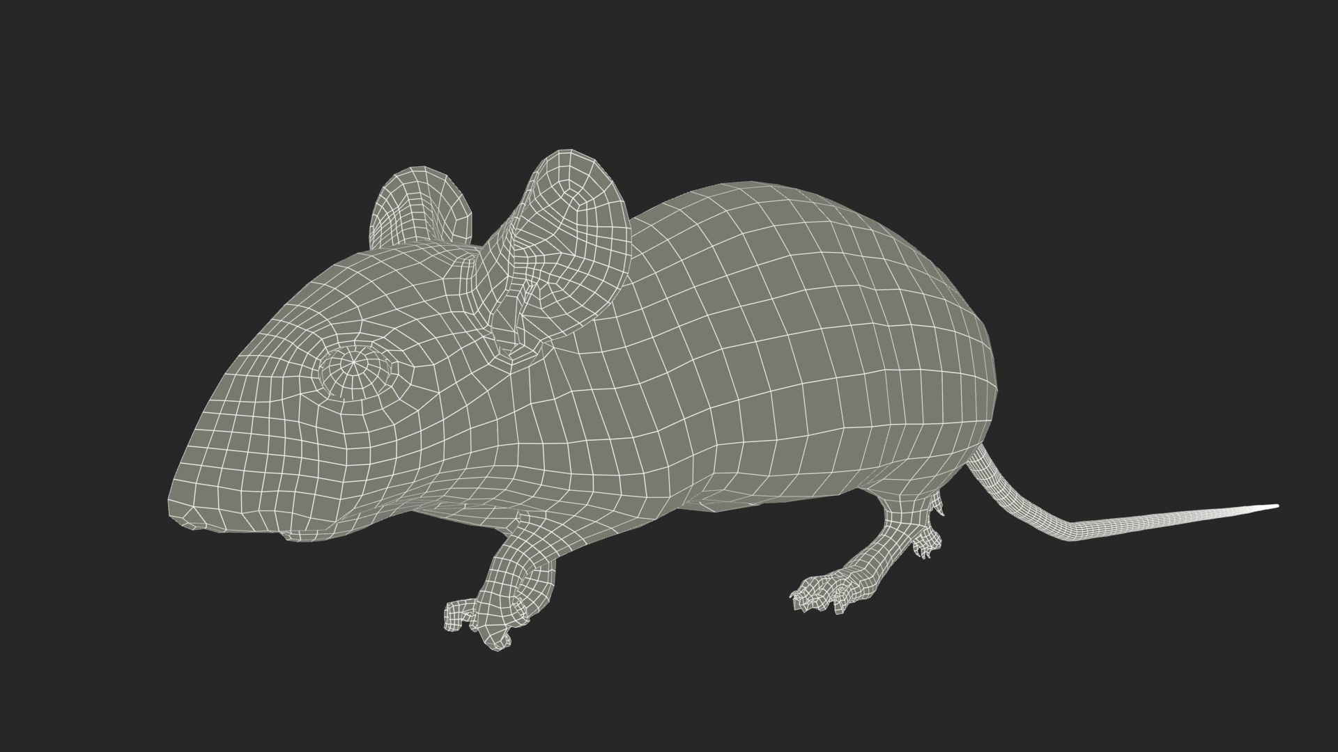 Mouse Low-poly 3D model_10