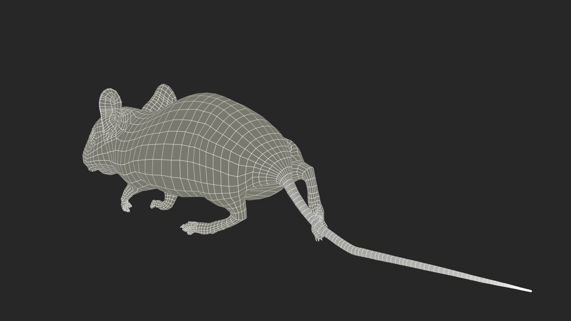 Mouse Low-poly 3D model_11