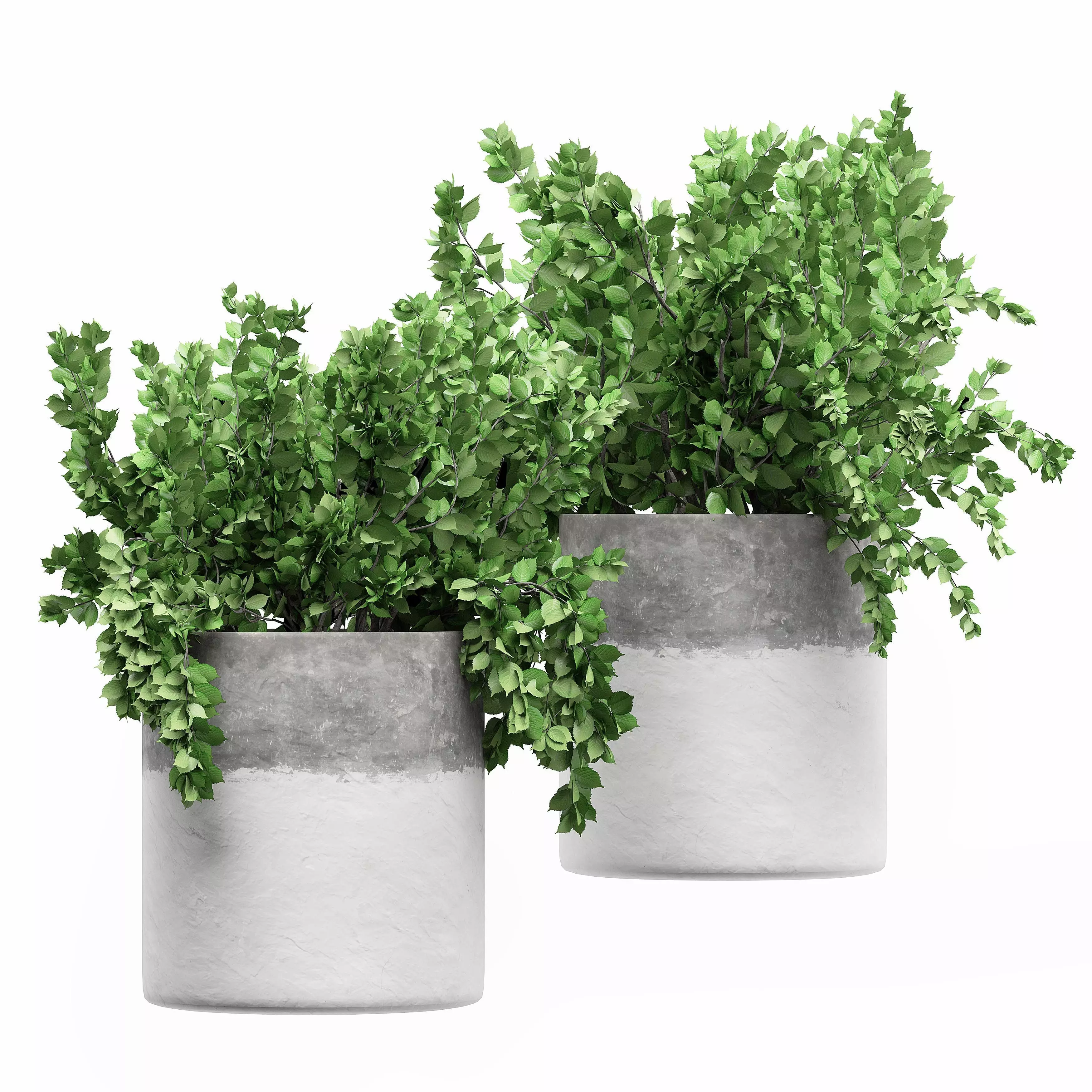 Flower Pack 170 3D model