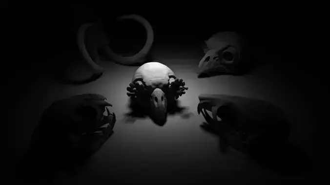 Cranes pitbull-mammouth-chat-hibou Skull pitbull-mammoth-cat-owl