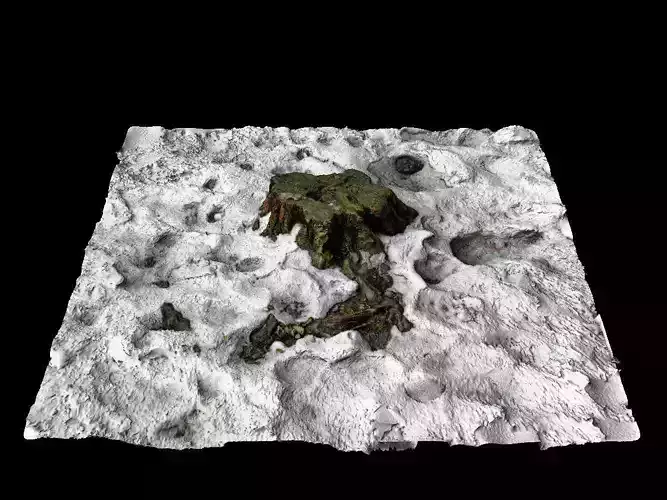 Stump in snow 3d scan 